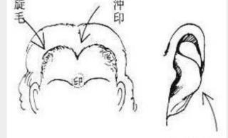 有生意头脑面相男人了解哪些 生意红火有潜力