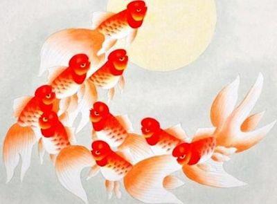 1981年4月14日晚上19-21点出生性格、运势和命运