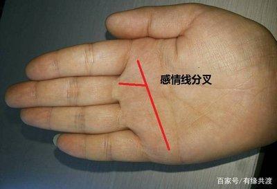 天生富贵命能嫁有钱人的女性手相有哪些