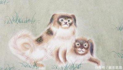 有福不会享猜生肖 不懂得享受的生肖