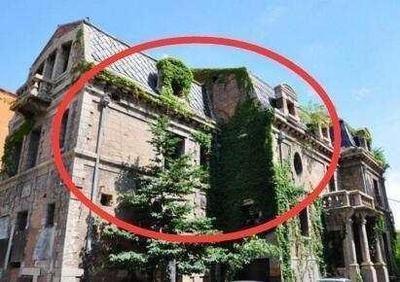 房子周围都是树风水怎么样不要不信