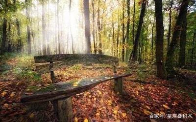 天生就具有老板命的三大星座领导能力强