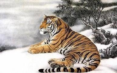 最旺属虎的生肖(最旺属虎的生肖1962)