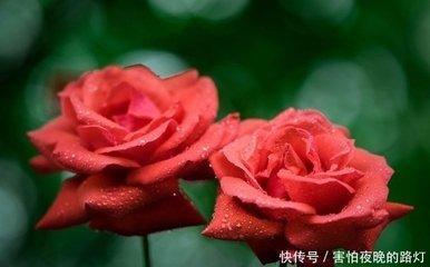 1981年4月27日晚上23-24点出生性格、运势和命运