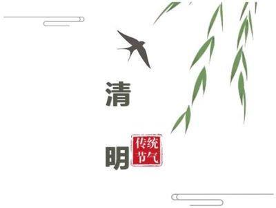 扫墓选择这些鲜花 让家族风水更旺盛！