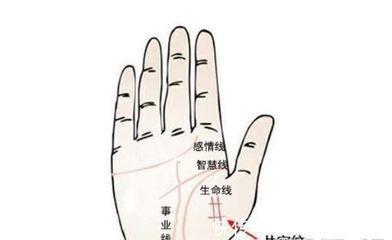 天生有福气的女人手相图解 怎样的手相代表有福气