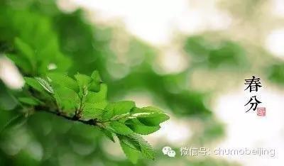 春分天气暖和了吗 2025年春分天气怎么样