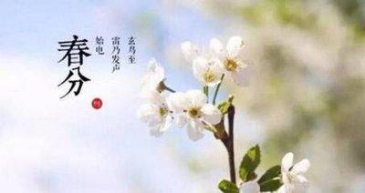 春分有什么寓意 2025年春分节气吃什么比较好