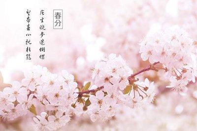 春分有什么意义2025年春分节气适合结婚吗