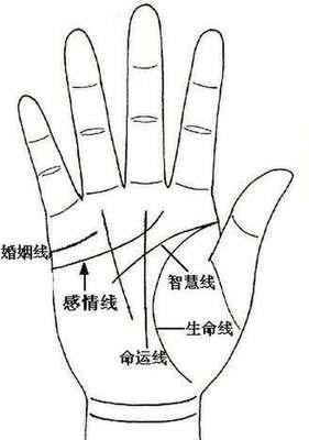 如何通过手相看命运 什么手相的人命运好