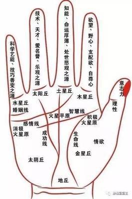如何通过手相看财运 这三种手相的人财运好