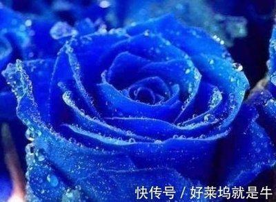最有梦想不停追求的4个星座努力上进