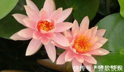 最有气质的生肖女 魅力十足非常吸引人