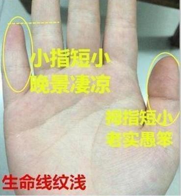 如何通过男人的手相看其性格和运势 男人手相怎么看