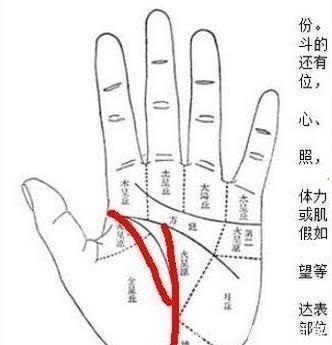最有福气的女人手相特征图解 什么样的手相好