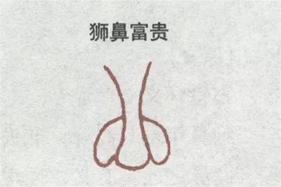 最有福气的鼻型图解 鼻子怎样的人有福气