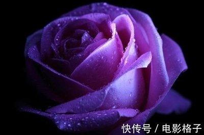 最有远见的生肖 这些生肖最懂得未雨绸缪
