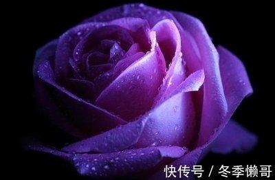 最有远见的生肖 这些生肖最懂得未雨绸缪