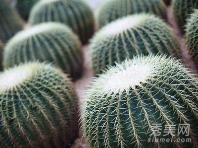 如何避免家中出现霉运确保风水稳定