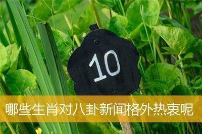最爱八卦别人的3个生肖不招人喜欢性格