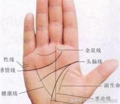 晚年财源滚滚的手相 这些手相的人晚年财运好