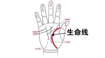 最全面的生命线知识讲解 生命线手相怎么看