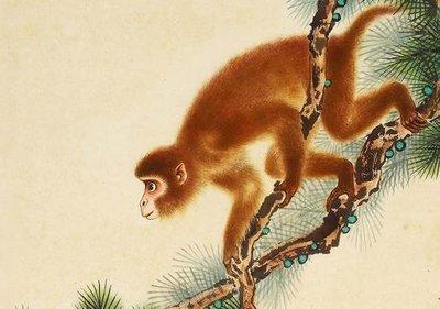最受异性欢迎的生肖  公认的异性缘好