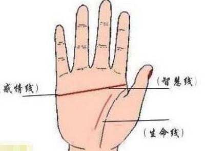 最命苦女人的手相特征 命苦女人的手相有什么特点