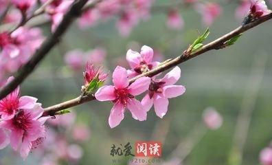有利于婚姻幸福的风水注意事项全解要牢记