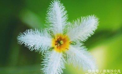有勇有谋的生肖 做事容易取得成功