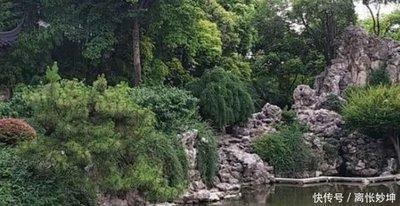 有哪些对爱情忠贞的生肖女没有二心性格