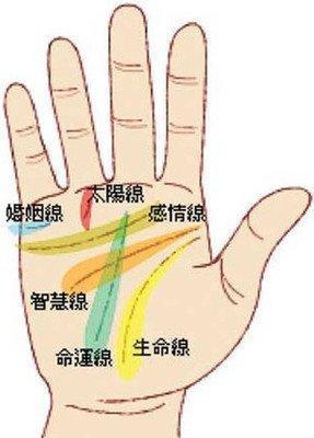 最实用的手相生命线图解大全 生命线与命运的关系