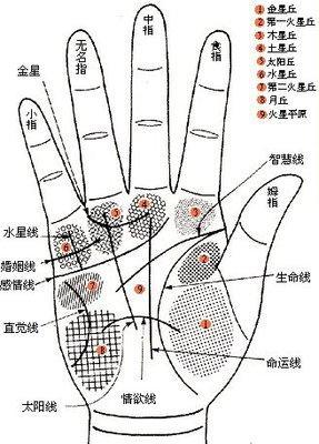 最实用的手相生命线图解大全 生命线与命运的关系