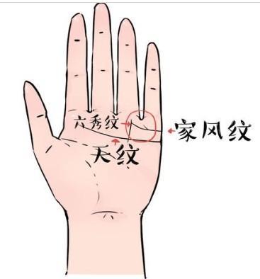 有哪些手纹的代表富贵 能富贵的人手相如何