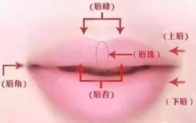 有唇珠的人面相命好吗怎么从面相看
