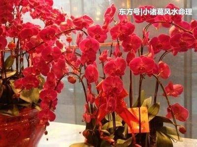 最容易招烂桃花的手相对婚姻影响大