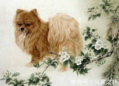 成熟稳重最值得嫁的四大生肖男忠诚专一