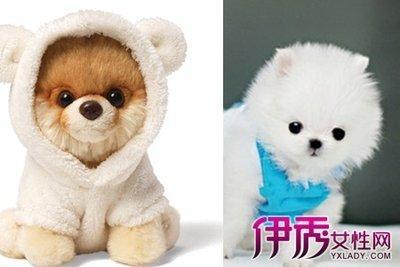 最忠实的面相特征 什么样的人最可靠