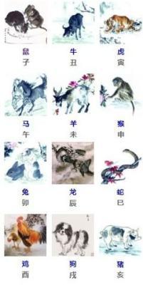正能量是什么生肖 哪些生肖正能量最多