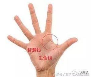 此生注定是暴发户的手相图解大全钱多