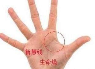 此生注定是暴发户的手相图解大全钱多