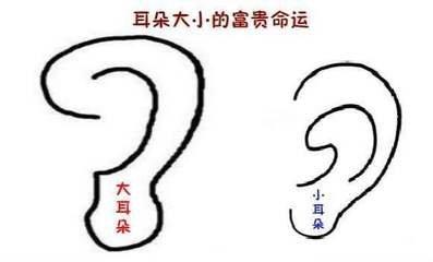 没有耳垂的女人命运怎么样 女人无耳垂好不好