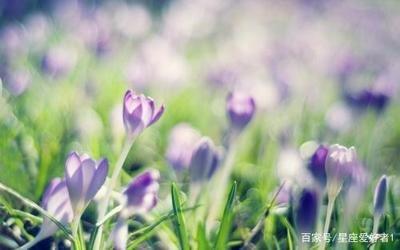 死要面子自尊心特别重的星座不愿认错