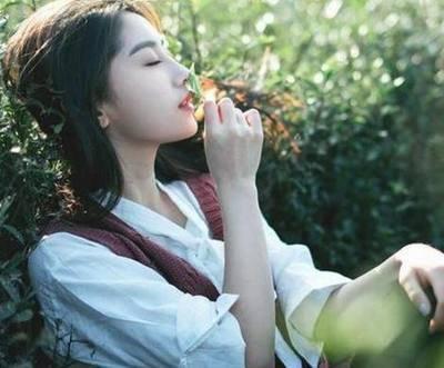 没脾气的意思是什么生肖 脾气很好的生肖是哪几个