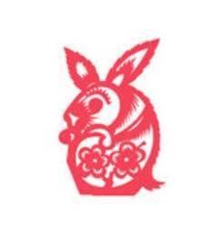 泓翔2025年1月生肖兔的运势精华版