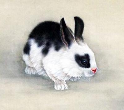 比较有野心的生肖 一点实力都没有
