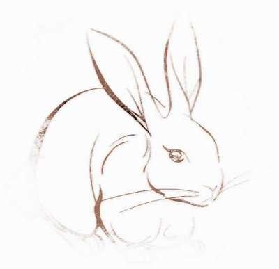 泓翔老师2026年10月生肖兔运势