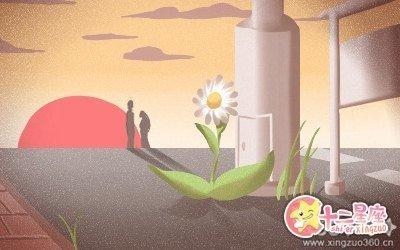 泓翔老师2025年10月生肖鸡运势
