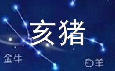 泓翔老师2025年12月生肖猪运势