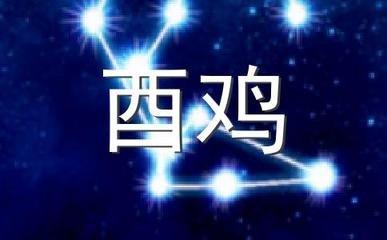 泓翔老师2025年2月生肖鸡运势